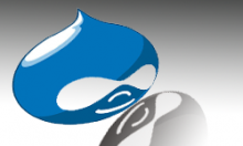 Drupal Logo